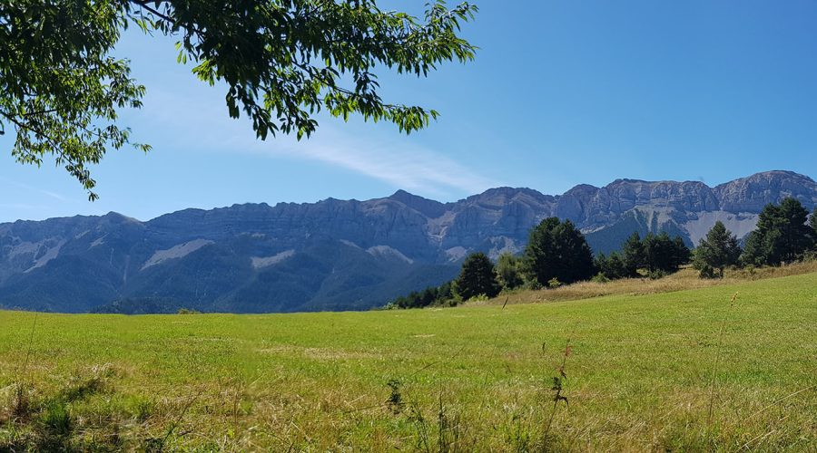 Passejades guiades per la Xarxa de Parcs Naturals