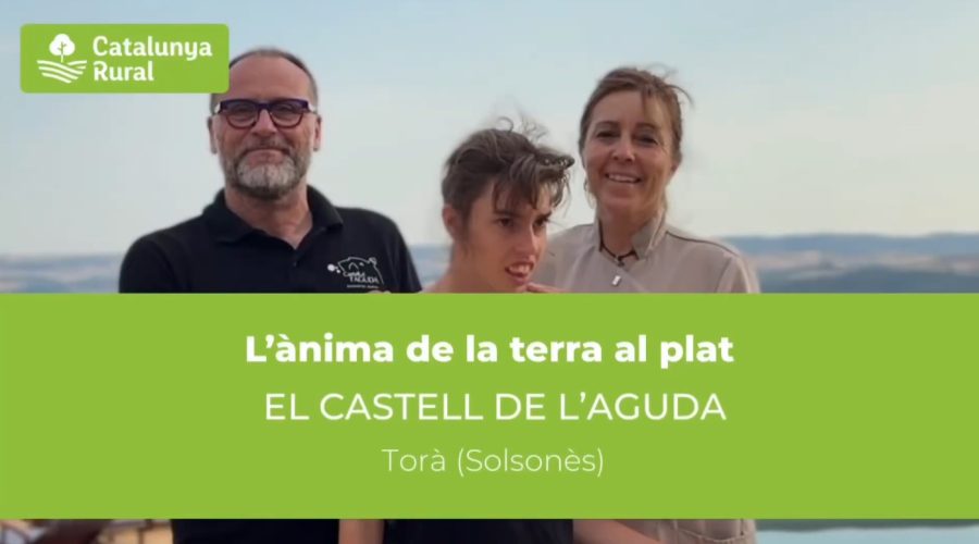 Un gotet de crema de formatge amb albergínia i pebrot per assaborir la Segarra