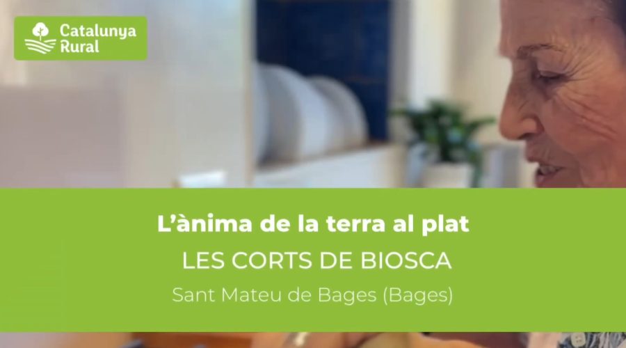 El secret de les ametlles garapinyades de l’Annita des de Sant Mateu de Bages