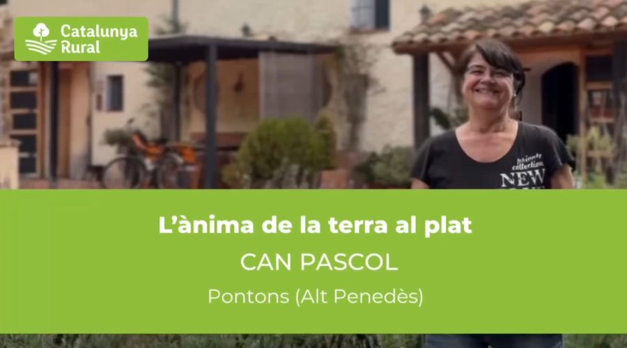 Un batut fàcil, sa i boníssim des de Pontons