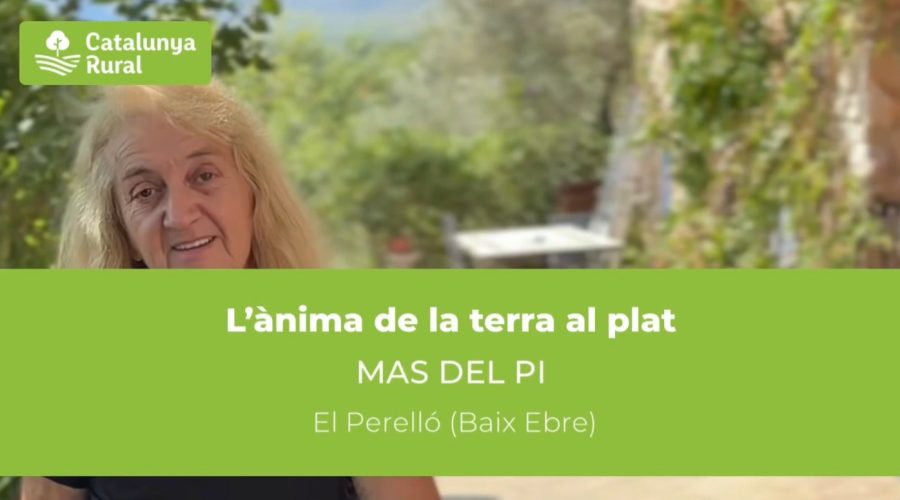 Mandonguilles amb albergínia: un clàssic tradicional del Perelló per llepar-se’n els dits