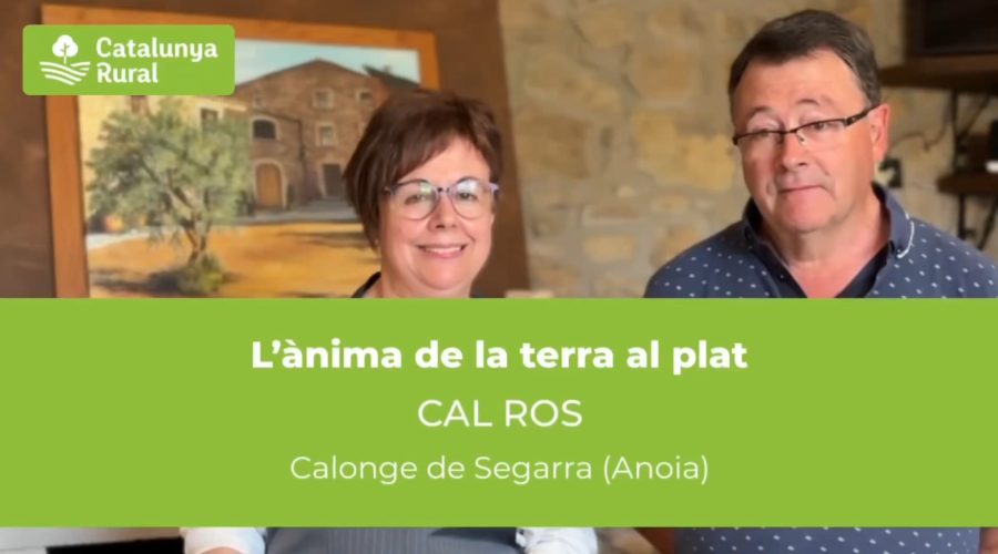 Canelons cruixents de brandada de bacallà: una recepta irresistible de Cal Ros