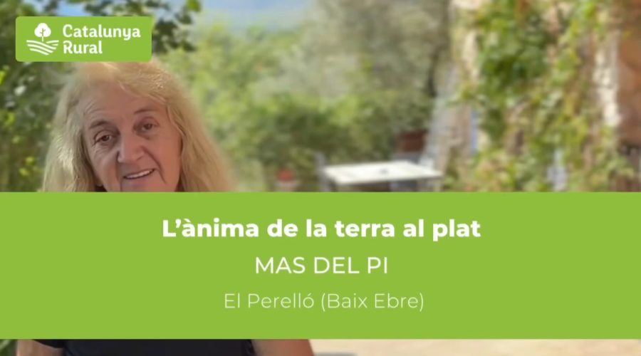 Crema de carabassa: un clàssic de tardor per assaborir a foc lent