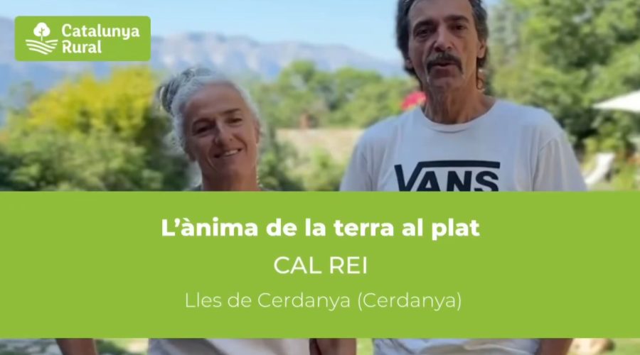 El pastís de poma de Cal Rei: unes postres estrella per assaborir la Cerdanya
