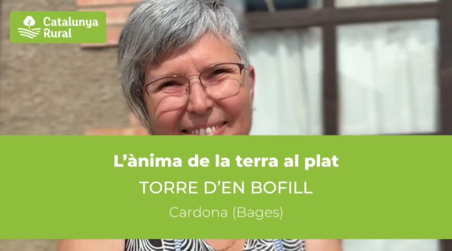 El pollastre de la batalla d’Almansa: una recepta del 1700 que encara sorprèn